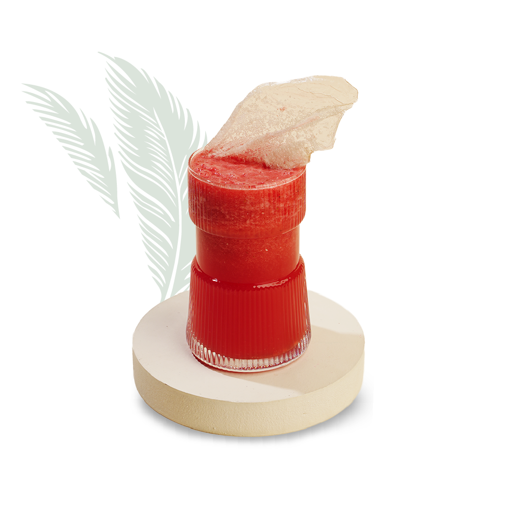Watermelon Juice