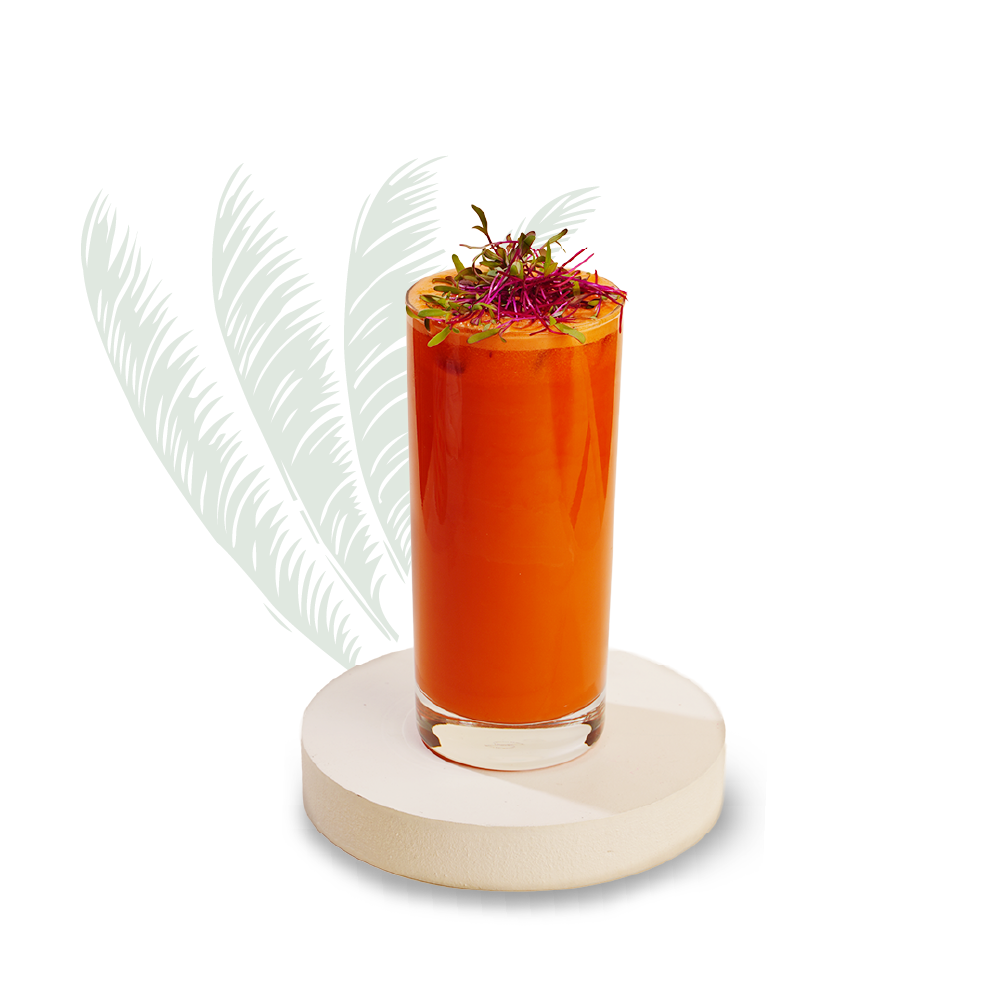 Carrot Juice