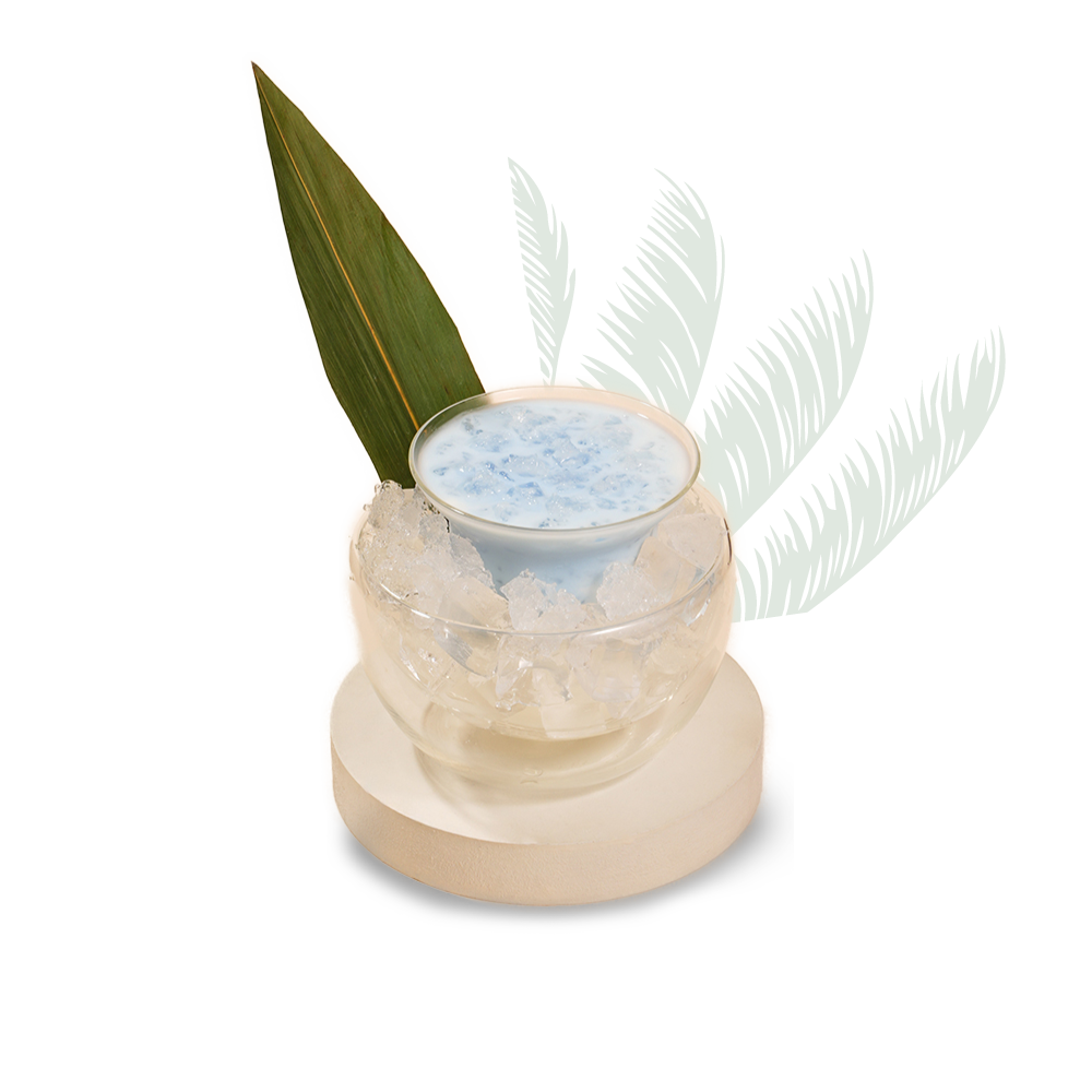 Iced Spirulina Coconut Latte