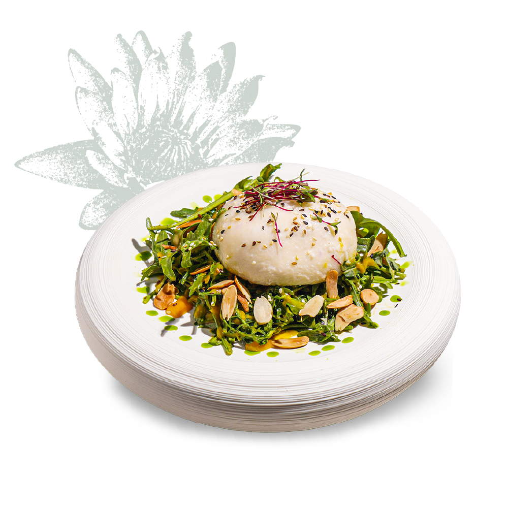 Burrata Mango Salad
