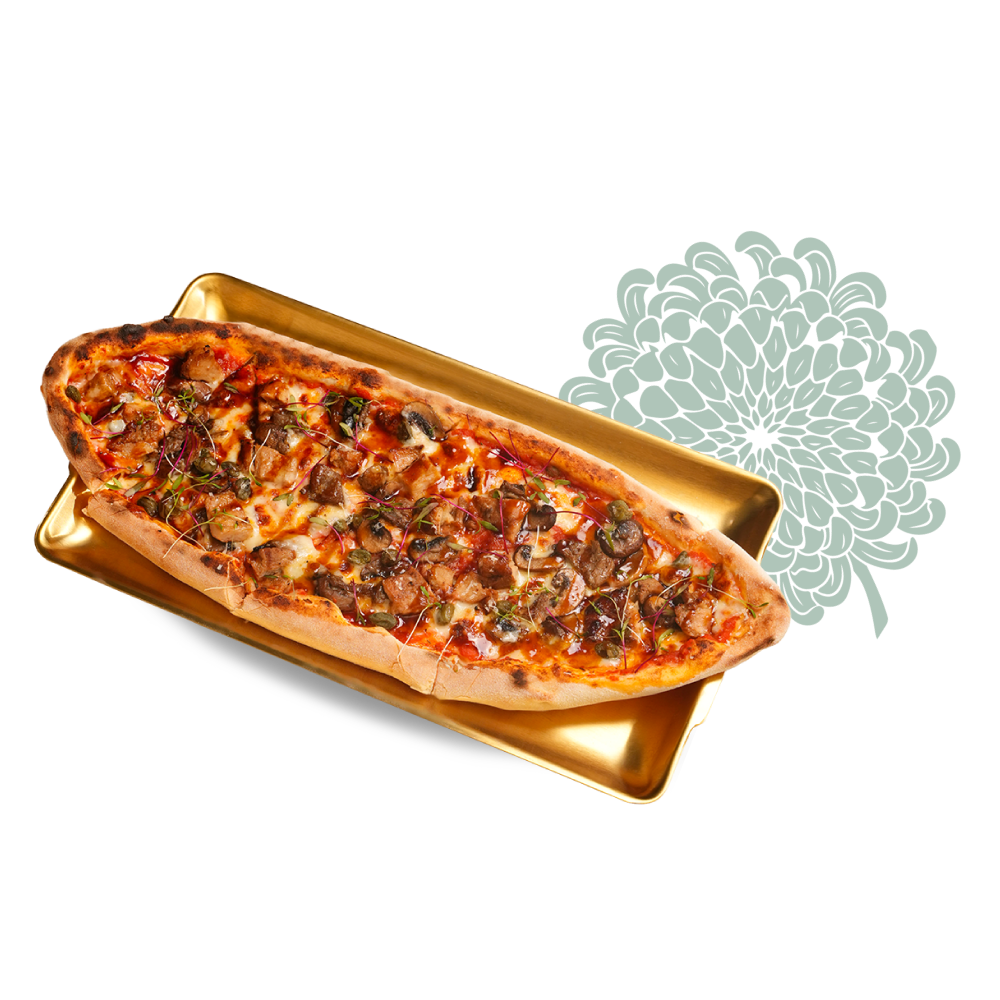 Teriyaki Chicken